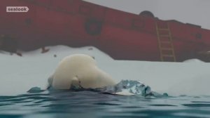 Морские Котики (SEALOOK) (359)