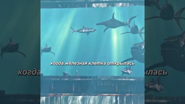 хороший фильм на вечер