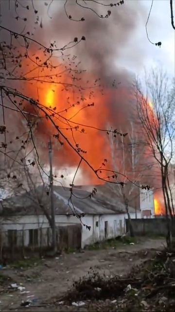 Украинскому оператору Оскара за удачный кадр