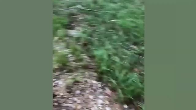 Laugh_at_the_best_funny_videos_😂🤣_in_just_2_ Minutes __ @funnyclipsTop10