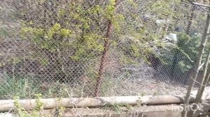 Выходные на даче. Дела огородные.