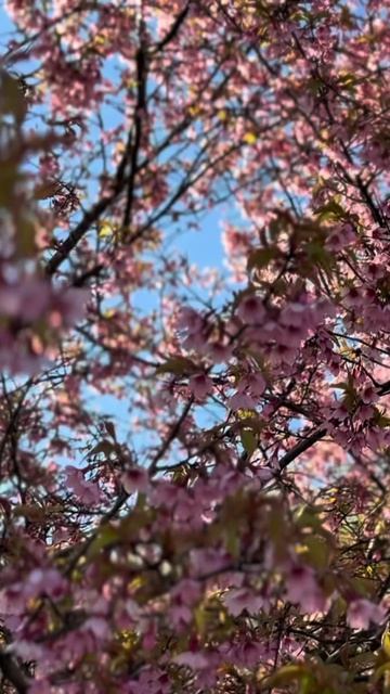 Мы сегодня прекрасно погуляли🌸 Аж наши ноженьки устали😜