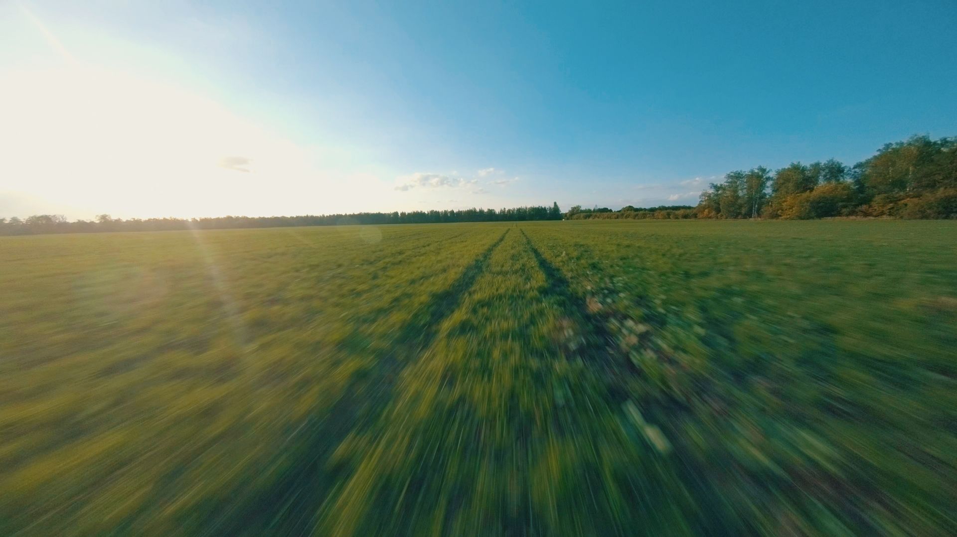 Поле Fpv | Grass Fpv | Cinematic Fpv #fpv