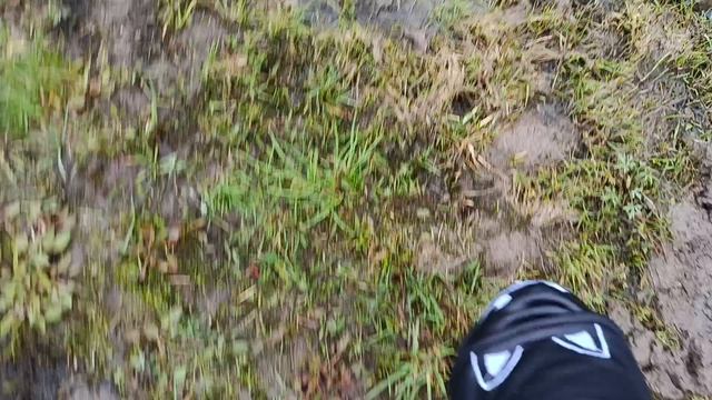 💗Басистка★/ТВ Сигма🐱