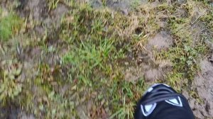 💗Басистка★/ТВ Сигма🐱