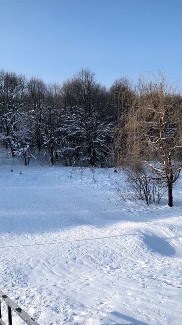 Зима в парке. 2026 г. 06