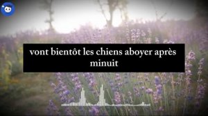 Je suis rentré de lhôpital après ma troisième chimiothérapie et jai retrouvé mon -Reddit Stories