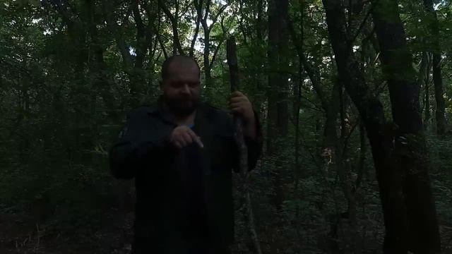 Выживалово. Бушкрафт навыки,туризм и походы,дикие звери,землянка или хижина.