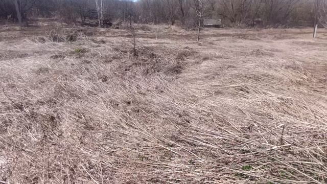 Дом в деревне