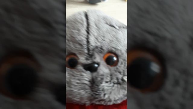 жаонглирую