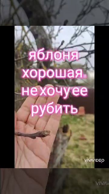 реставрация на выходных