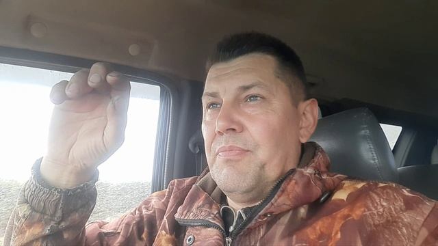 19.04.26. весны нет.развития пчел нет.пчела гибнет. природа спит. что происходит?