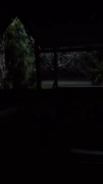 ТравлЯ мотоциклами по ночам 1