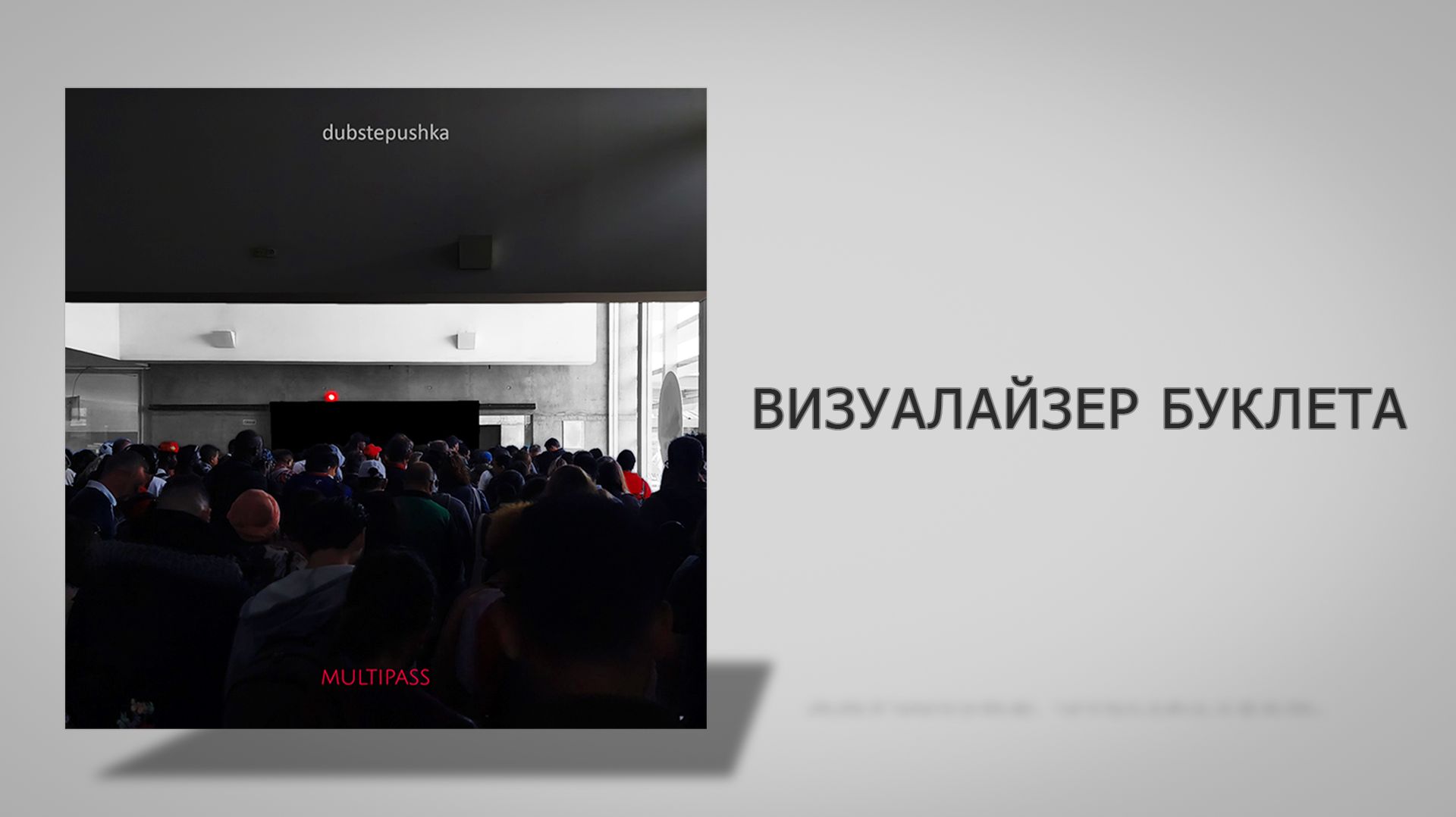 Dubstepushka - Multipass [Официальный Визуалайзер Альбома]