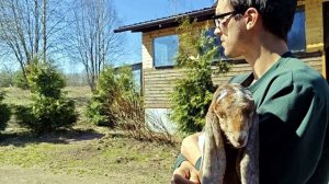 УЕХАЛ КОЗЛИК НА МОСКВУ!