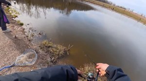 Рыбалка /форель /ВПОЛЕ