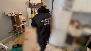 Тела супругов нашли в квартире в Мытищах: кадры с места происшествия