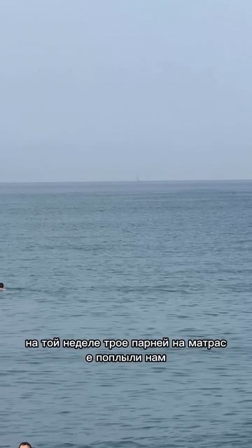 Дельфины 🐬😁