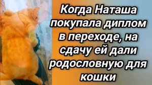 😜 Анекдот из Сыктывкара