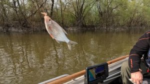 Битюг - Дон. Открыли сезон правильной воды!