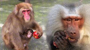 Сан Санычу первому, а он такое НЕ ЕСТ! Елисей ОРЁТ во все горло!  Шурик ПУГАЕТ, а Феня КИДАЕТСЯ!