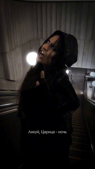 BEARWOLF - Феникс