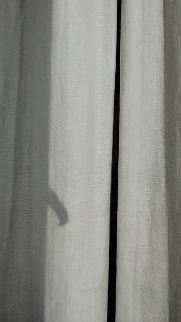 КЕКС на МОРЕ за 5 минут + время на выпечку. Справлюсь или нет?