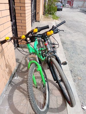 катаемся на великах