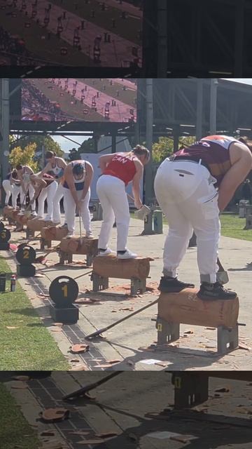 Соревнования лесорубов в Сиднее