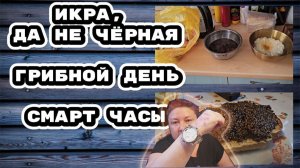 🇰🇿 КАЗАХСТАН 17-26! ВЛОГ/ДЕНЬ ГРИБОВ/ЛАПША И СУП/ЕМ ИКРУ СЕЛЁДКИ/У ТАНИ АЗИАТСКАЯ КРОВЬ/НОВЫЕ ЧАСЫ