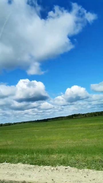 дорога утро