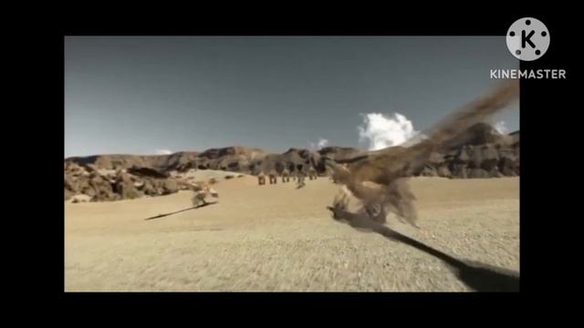 Feathered Dinosaurs: Bird Ancestors?!