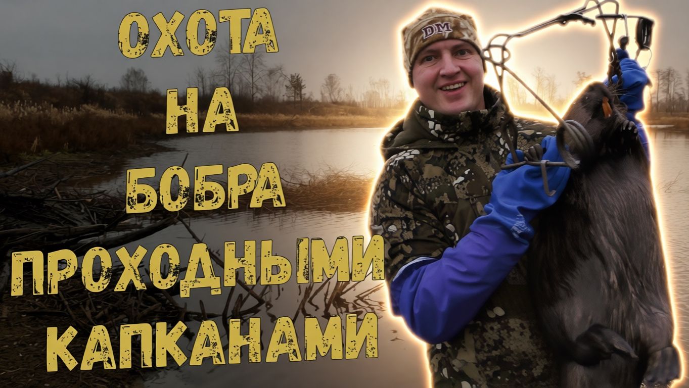 Охота на бобра проходным капканом / Бобр добыт / Капкан Bridger