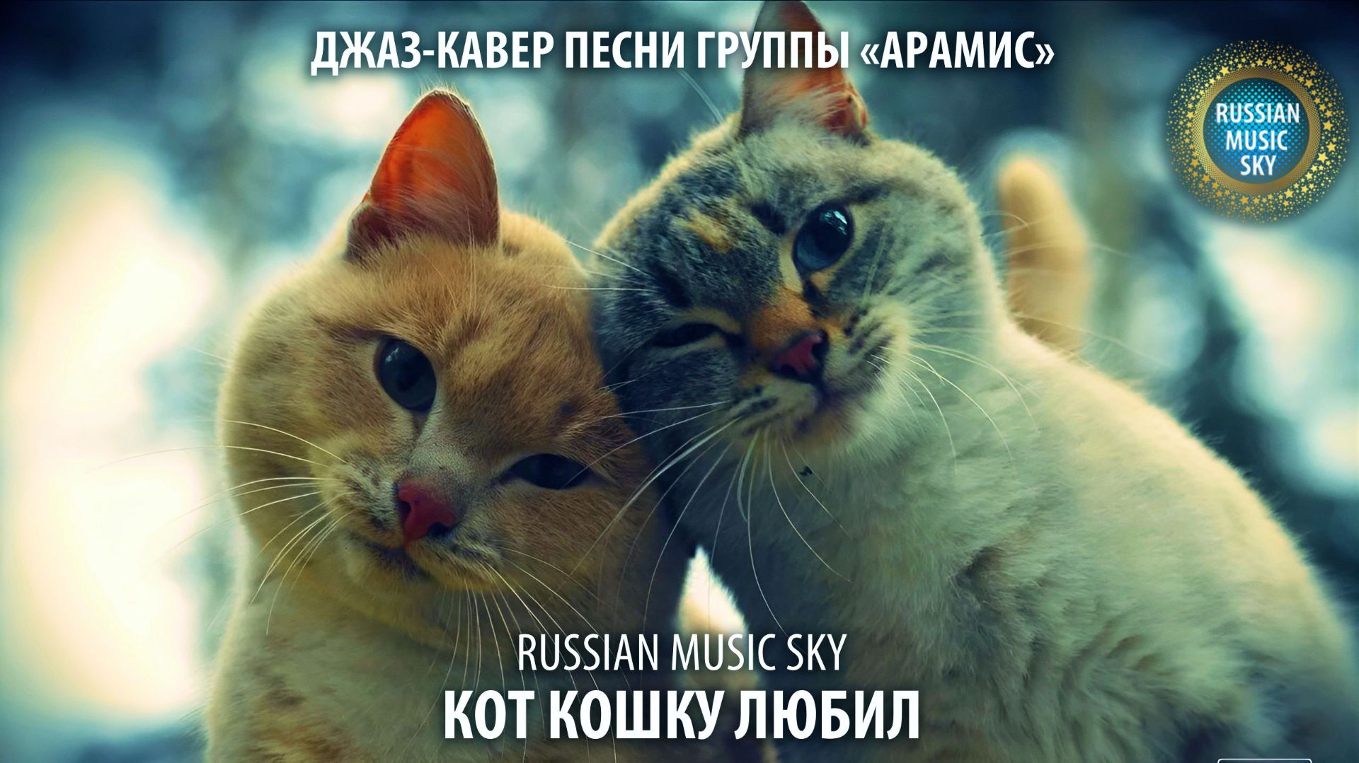 Кот кошку любил  -  Russian Music Sky (2026) Джаз-кавер песни группы 