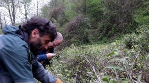 Стерня и Кутха