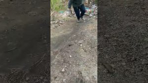 Разбивания бытылок