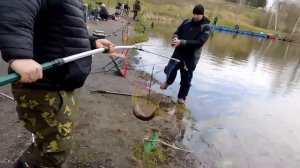 19.04.26 г. РК Волна.