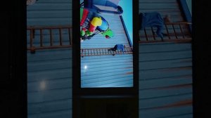 досмотрел  самое сложное покушение на президента