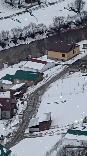 Снежный лъибил