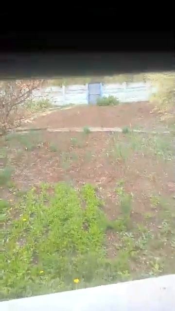 погода пасмурно