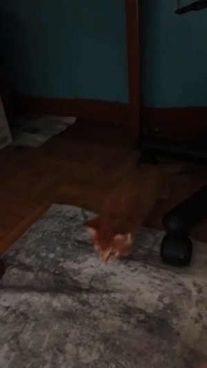 Меня в лайке забанели