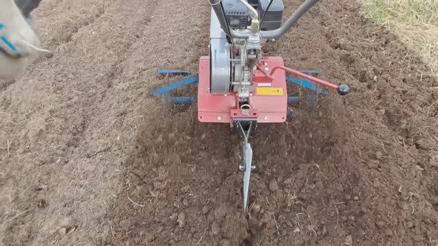 Закрытие влаги ротационными боронами