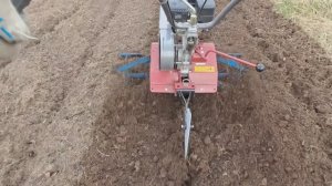 Ротационные бороны: закрытие влаги