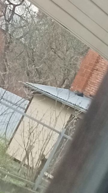 Без лапик 1 часть