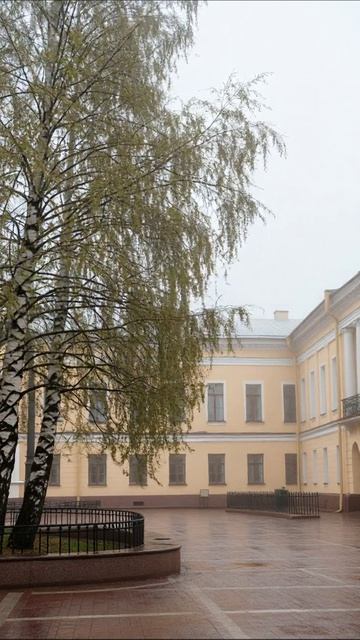 Туманный день в старом дворе #осень #природа #архитектура