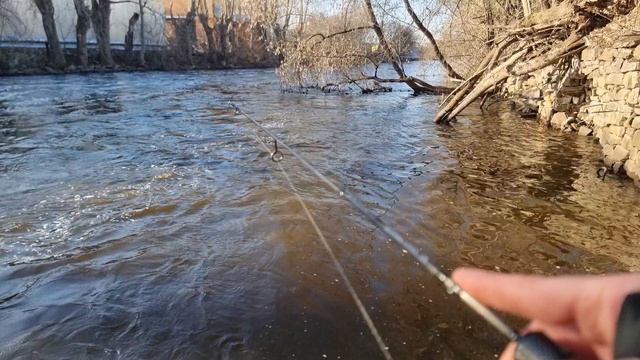 Рыбалка. Мормышка & микроджиг . Бешеный клев. Язь на каждой проводке. Рыбалка с Johnny Fish.