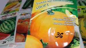 Кабачки, тыквы, арбузы и дыни буду сажать в 2026 году.