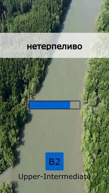 🥊 Раунд 1: Битва за словарный запас B2 (05 May 2026)