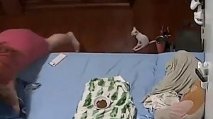 Котёнок с ограниченными возможностями резко "убежал" при виде таракана