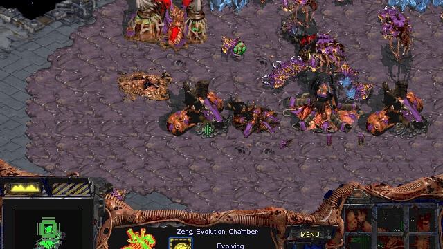 СПИДРАН 🏃 StarcraftBroodWar_Z10_1654_HQ